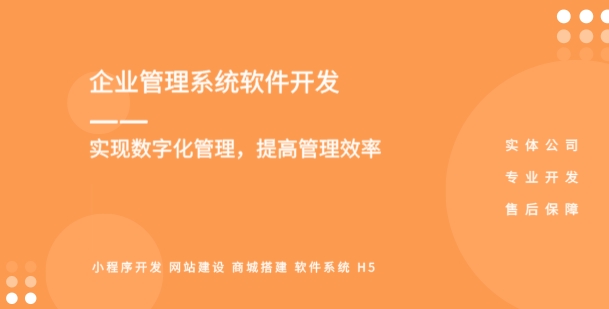 企業管理系統軟件開發